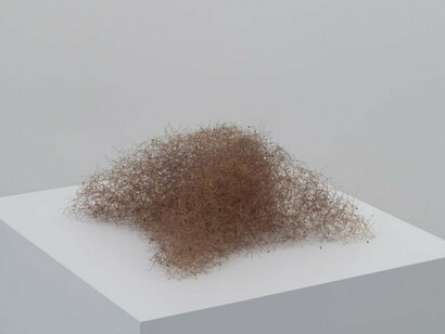 Durchlassige Form, 2020, tree flowers, foto Amedeo Benestante