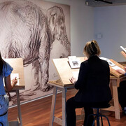 Rembrandts masterclass, exhibition view. Courtesy of Museum Het Rembrandthuis