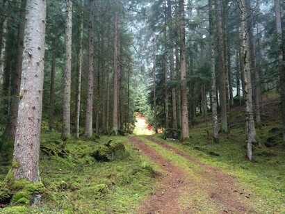 Sentieri, Dolomiti, foto Claudia Zanfi