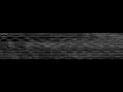 Elliott Sharp. Courtesy of Erratum