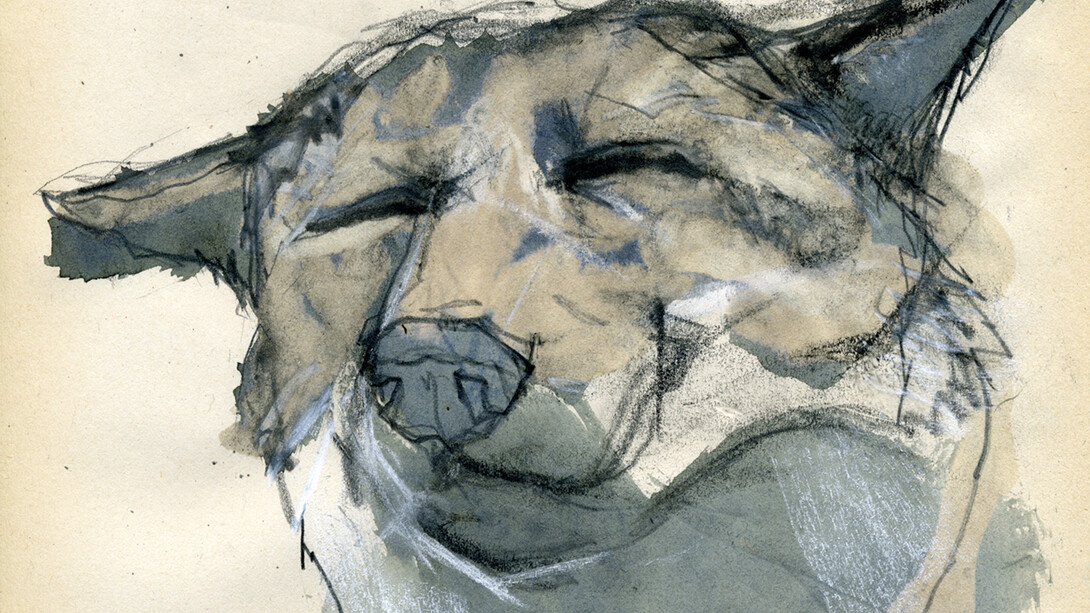 Emma Broughton