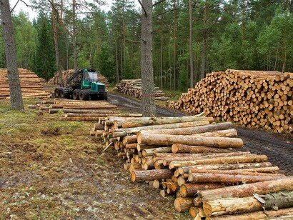 Mal uso de los recursos naturales en Latinoamérica