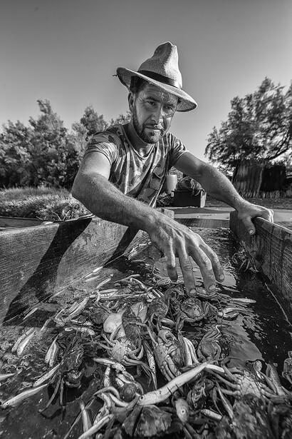 Maurizio Rossi. Courtesy of Venissa