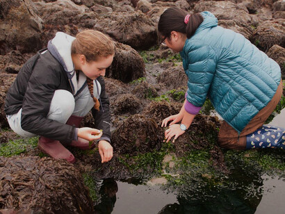 The dominate future will, over time, emerge as the major organizing trajectory for our civilization