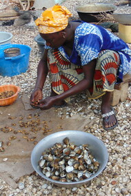Recogida de ostras y almejas en las playas de Niodior, Senegal