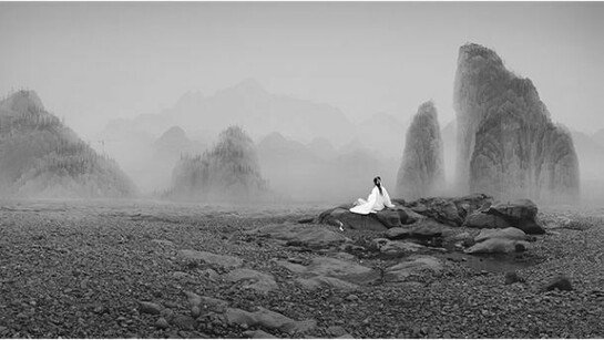 Yang Yongliang, Silent Valley, A Snake and Grenade, 2012