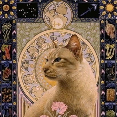 Il felino Sagittario