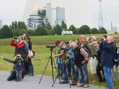Emscherkunst, 2016. Visitatori