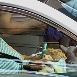 Arne Svenson, Traffic #10 (detail), 2025. Courtesy of Contemporary Art Matters