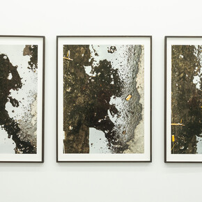 Luciana Lamothe, Retrato borde 1, 2 and 3. Courtesy of the Alberta Pane Gallery
