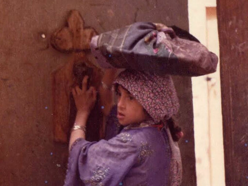 Hays, Yemen
