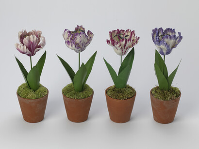 Tulips © Frédéric Godé