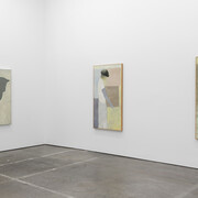 Tyler Ormsby, Punk leaf, exhibition view. Courtesy of Altman Siegel 