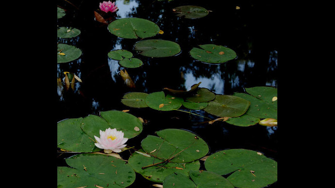 El jardín educativo del monte mediterráneo. Courtesy of Museo Nacional de Ciencias Naturales