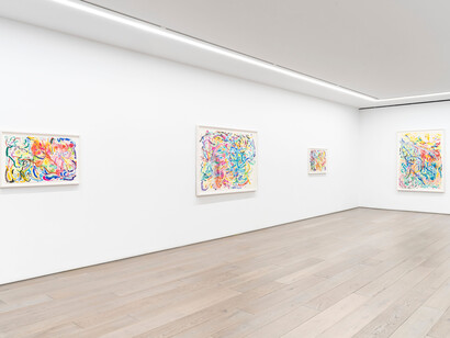 Nancy Graves, Moonwater, exhibition view. Courtesy of Galleries Perrotin