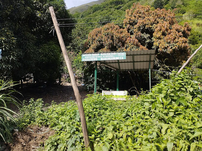 Su clima cálido y su entorno exuberante convierten a Quillabamba en un destino ideal para quienes buscan naturaleza y descanso en Perú