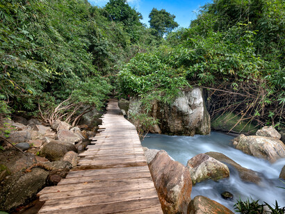 Scorcio panoramico con vegetazione e fiume 