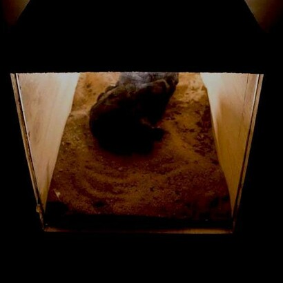 A obra de Rúben Gonçalves