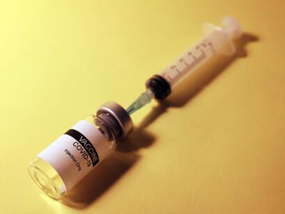 The pandemic decreased the GDP output for multiple countries to a much lower level than in the previous year, some even being under 20%