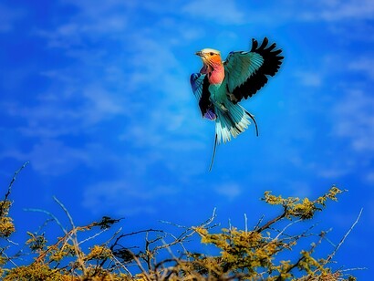 Namibia