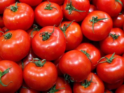 Tomates