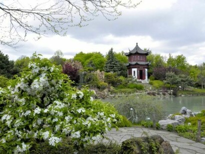 Una bella imagen del Jardín Botánico de Montreal