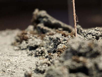 Robert Andrew. Courtesy of IMA