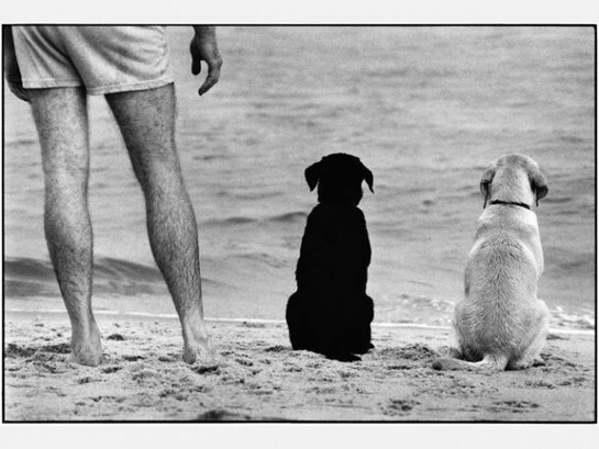Elliott Erwitt, USA, Amagansett, New York, 1990, © Elliott Erwitt/Magnum Photos