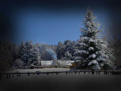 Sila, Calabria, Italia. Questa destinazione unica offre una piacevole sorpresa per gli amanti della neve e della montagna, con opportunità per lo sci di fondo e lo sci alpino, insieme a panorami incantevoli e una cultura autentica