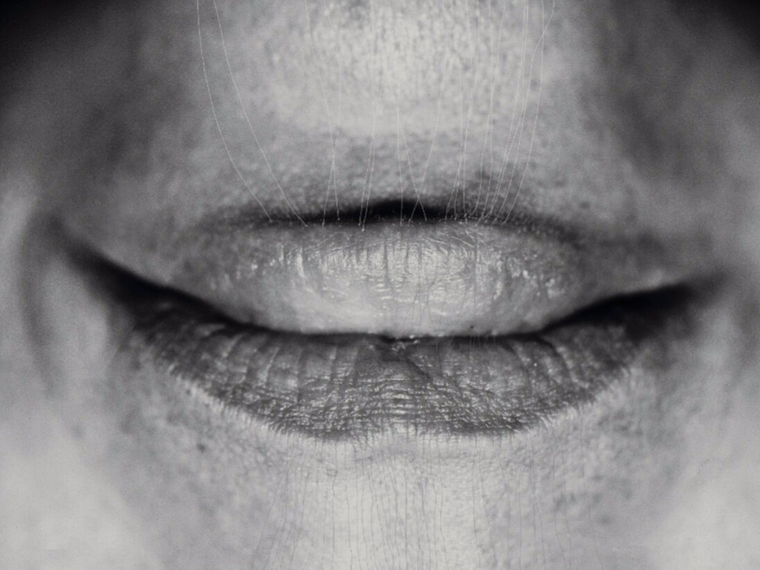 Lisette Urquijo, Surrade. Courtesy of Nohra Haime Gallery