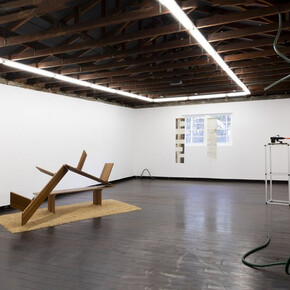 Garden variety Dykes, lesbian traditions in gardening, exhibition view. Courtesy of Firstdraft Gallery