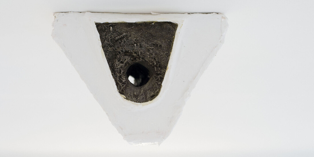 Bruno Botella, Rat ce nectar, 2013 silicone, peli pubici / silicone, pubic hair, 29×28×20 cm