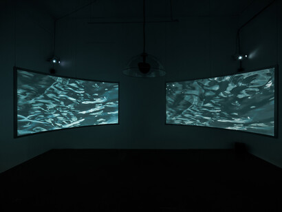 Wendy Wischer, Open water, exhibition view. Courtesy of Locust Projects