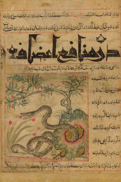 Book of Beasts. Courtesy of J. Paul Getty Museum