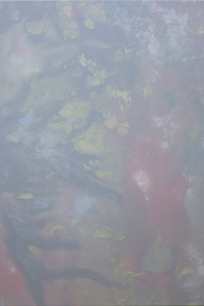 Alex Gough, Wilderness in Paint No.27, 80 x 115 cm, Pigment, acrylic binder, gesso, canvas and polyester, 2014 
