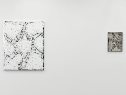 Snowflake. Courtesy of Magenta Plains