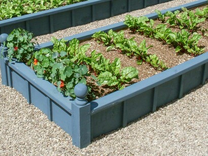 A back yard turned into a vegetable garden