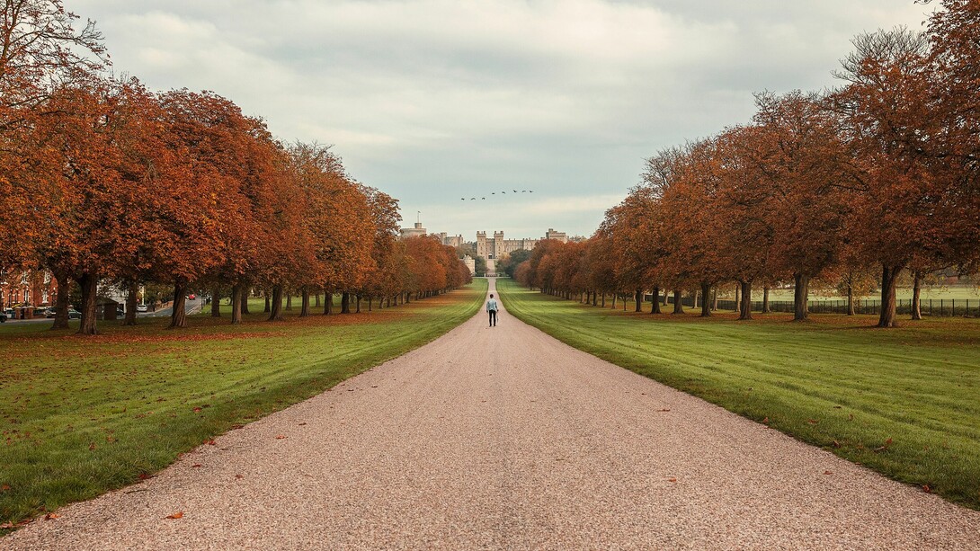 Viale di accesso al Castello di Windsor