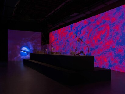 Tuomas A. Laitinen, Siphon, exhibition view. Courtesy of Pioneer Works