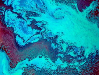 The nature of qualia cannot be scientifically explained either as a nervous, informational, chemical, or physical phenomenon