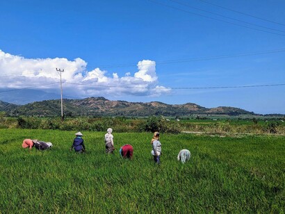 Negli occhi avevo ancora le grandi risaie, distese su enormi pianure o inerpicate su colline terrazzate, dove uomini e donne lavorano nelle piantagioni mentre lungo la strada, davanti alle case, foto di Valeria Caldelli