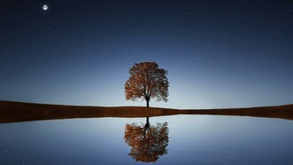 Albero riflesso nell'acqua in una notte stellata