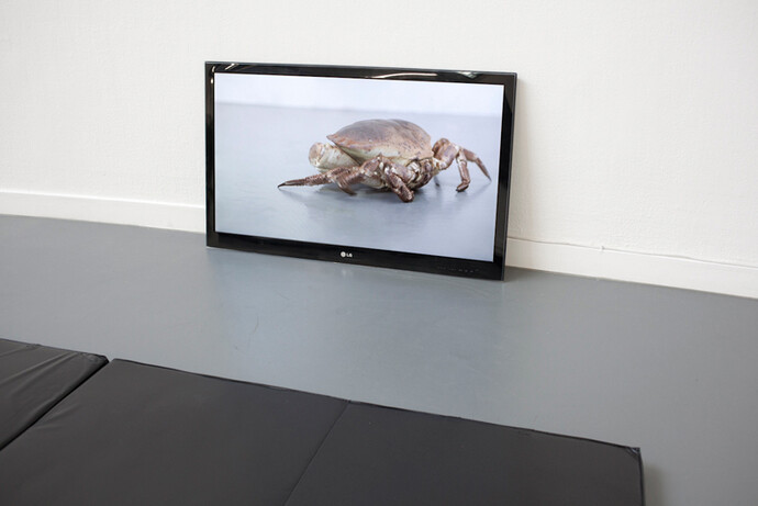 Hannah James, The Wrestler and the Crab, 2015