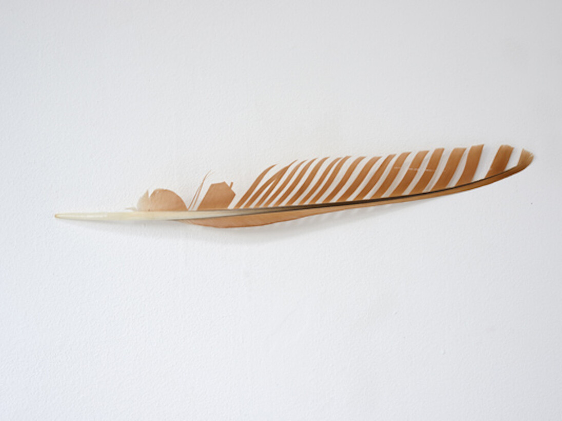 Olivier Leroi, Exhibition view. Courtesy of Galerie Patricia Dorfmann