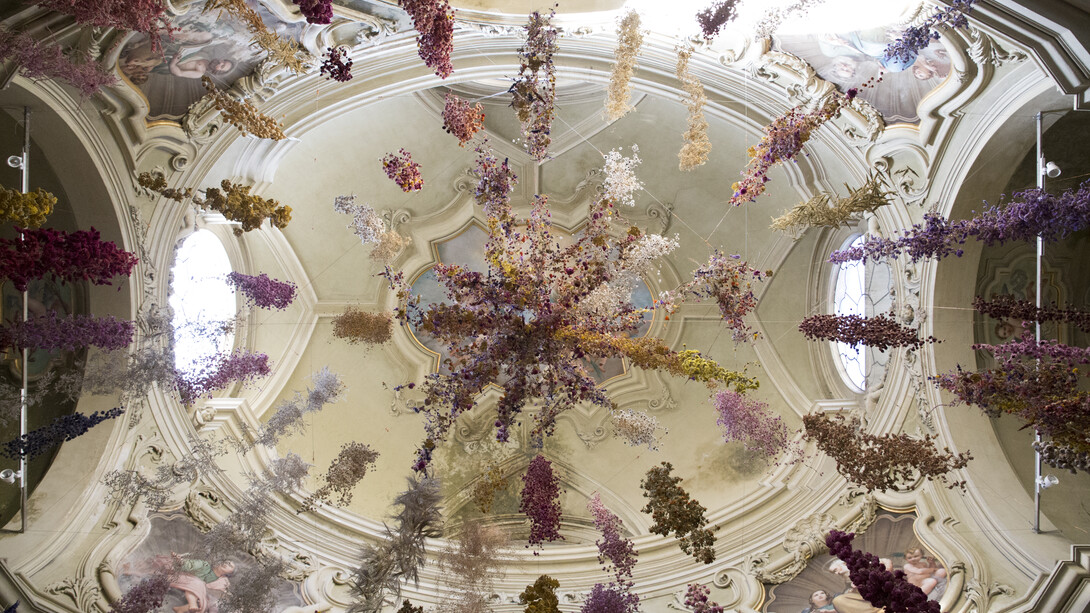 Rebecca Louise Law, Florilegium, Parma Capitale della Cultura 2020