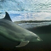 Coast and Marine Winner - In the living room BWPA 2013