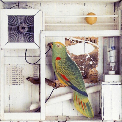 Untitled (Cockatoo with Watch Faces)