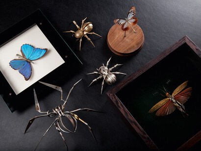 Compo Entomology