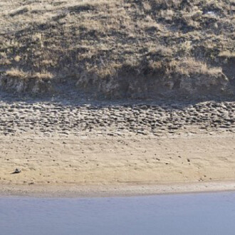 Kevin O’Connell. Courtesy of Robischon Gallery