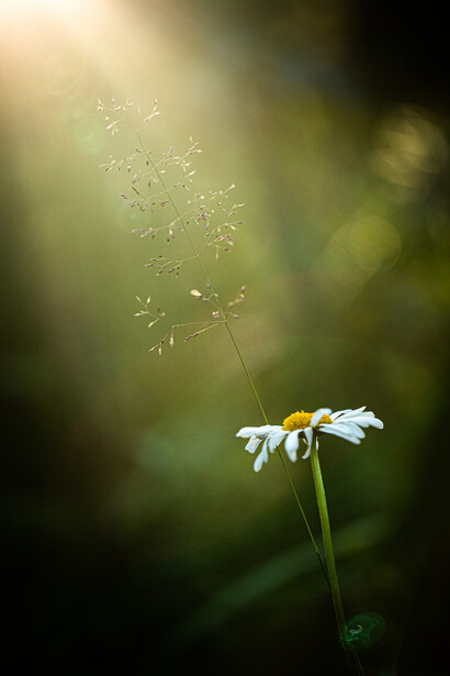 We each emerge in our own way